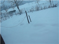 ea82bcb8-Picture 002.jpg